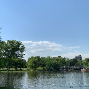 Meet your Posher, Grace